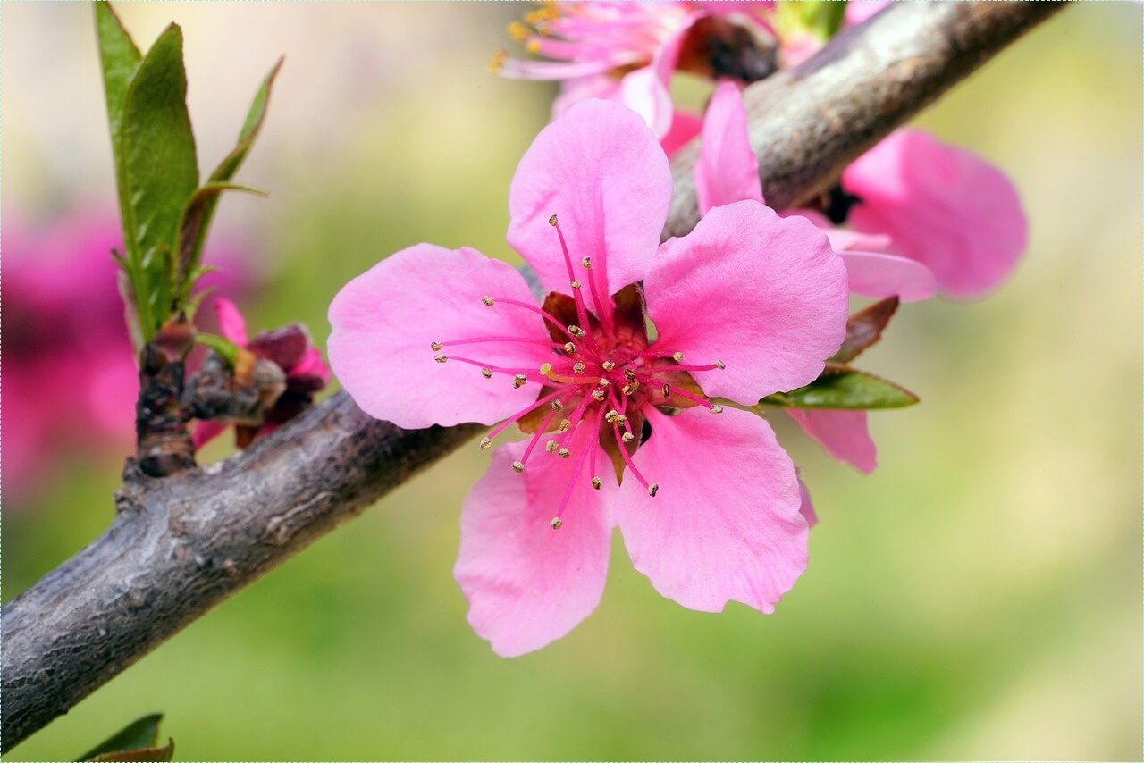 은행 적금 이자 높은곳