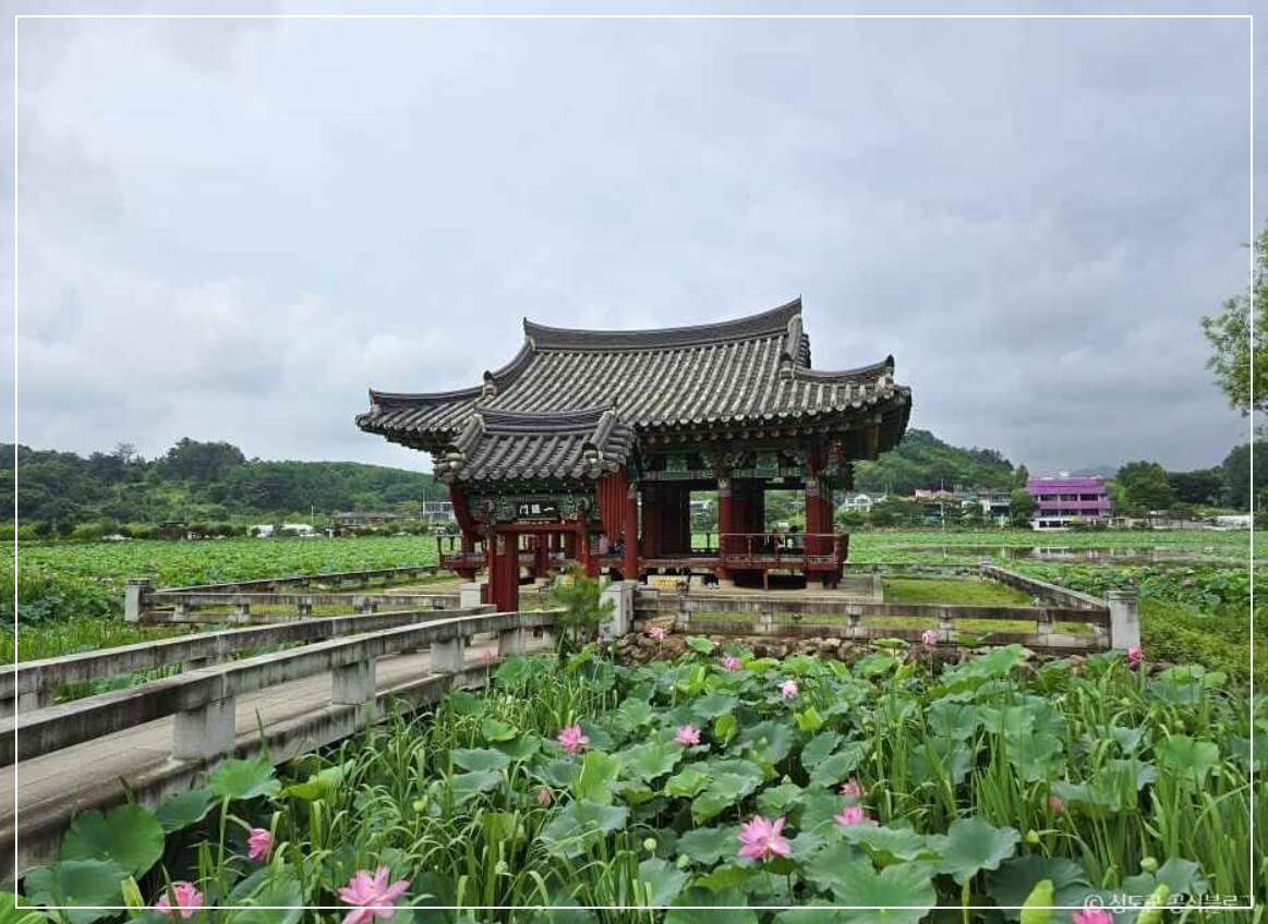 청도 가볼만한곳 베스트10 유등연지