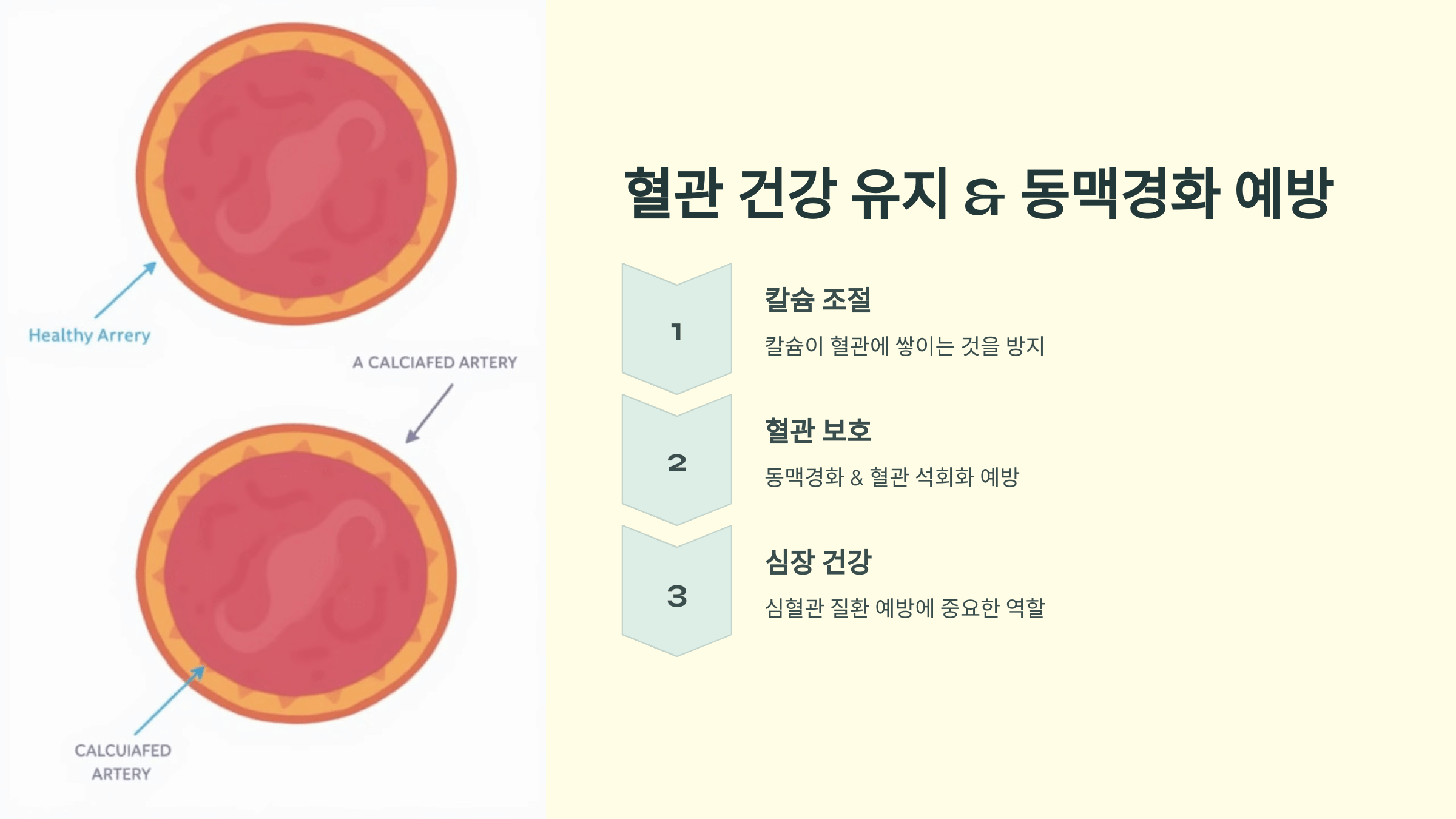 비타민K2와 관련된 사진입니다.