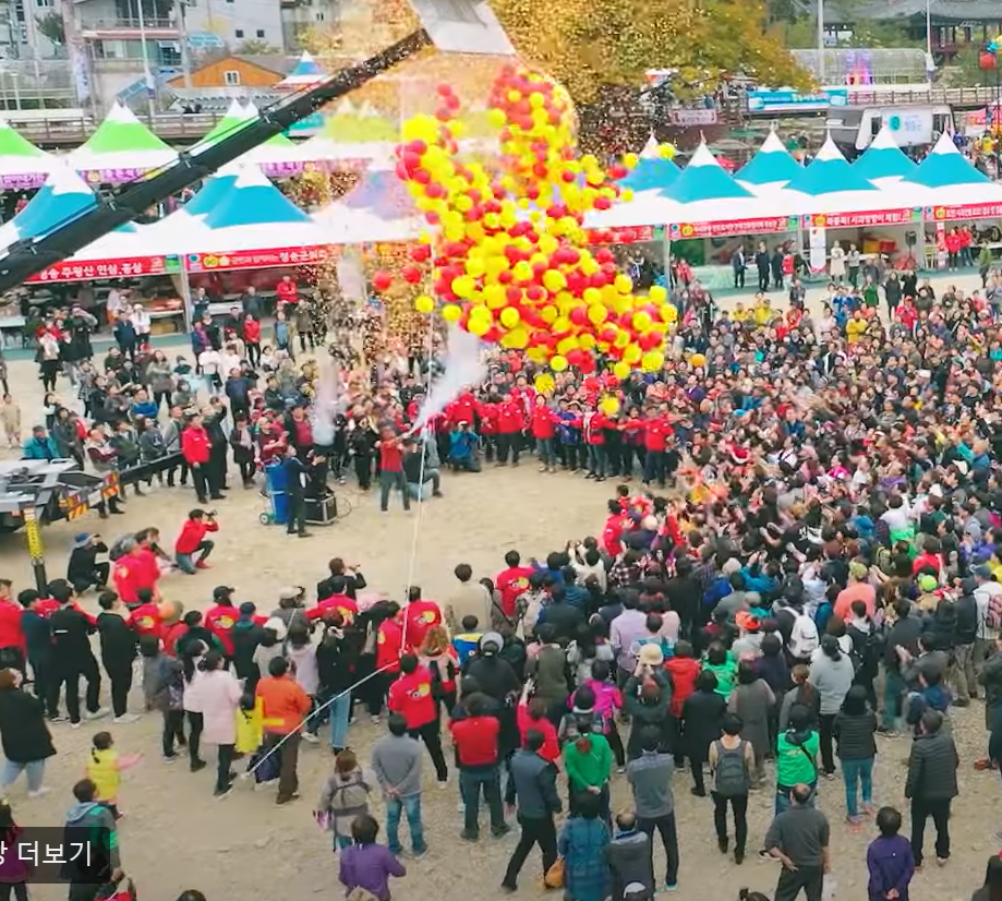 청송사과축제