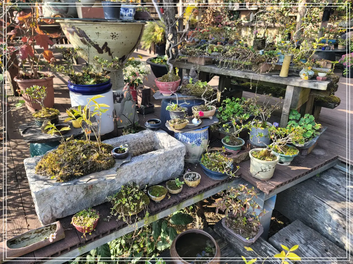 석모도-토담마을-화분들