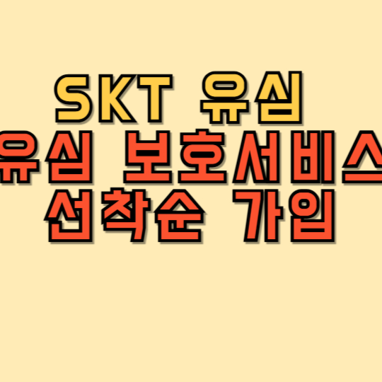 SKT 유심 해킹 예방 유심보호서비스 가입