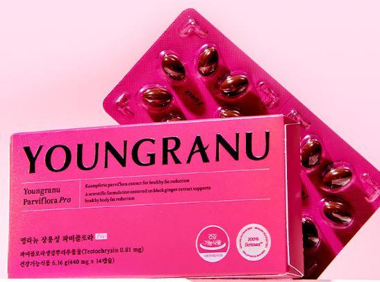 파비플로라 효능 가격