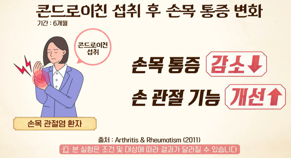 콘드로이친 효능