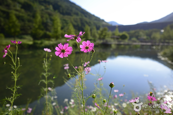 의령 가볼만한곳 베스트10