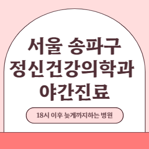 서울 송파구 야간진료 정신건강의학과 병원 (18시 이후 늦게까지하는 병원)