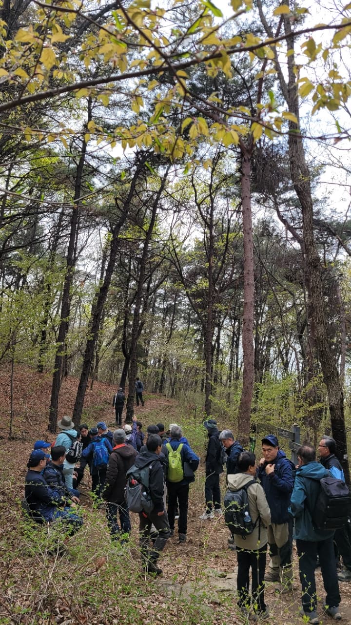 호암산 숲길 – 걷기 좋은 코스