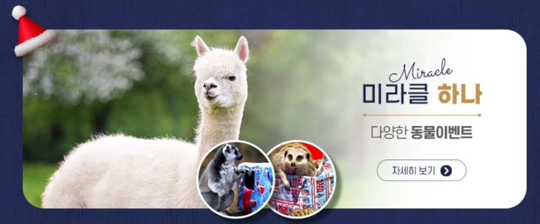 네이처파크 미라클 크리스마스 기본정보와 주차장,입장료를 알아봤습니다