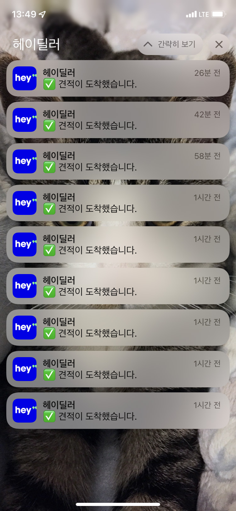 헤이딜러 후기