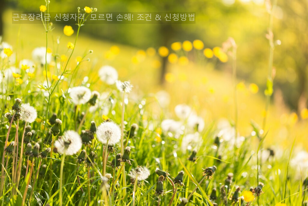 근로장려금 신청자격&amp;#44; 모르면 손해! 조건 &amp; 신청방법