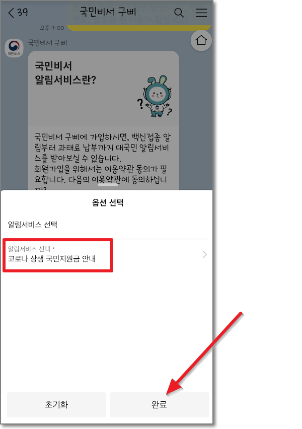카카오톡 국민비서 신청방법