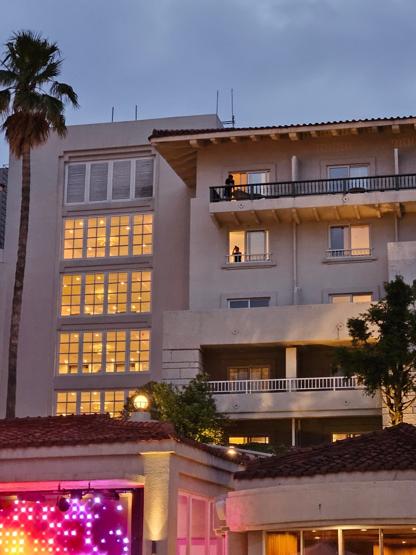 신라호텔 야간 공연 구경