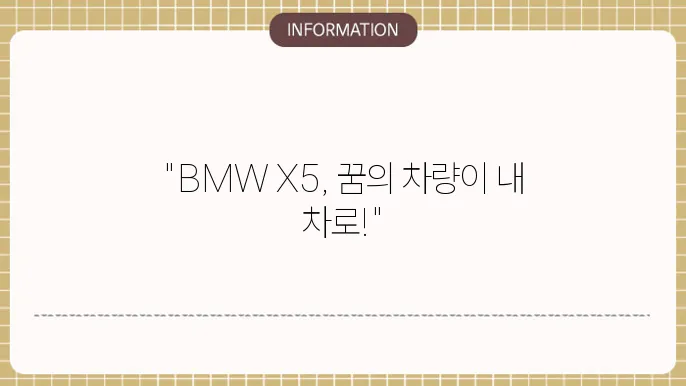 bmw x5 장기렌트