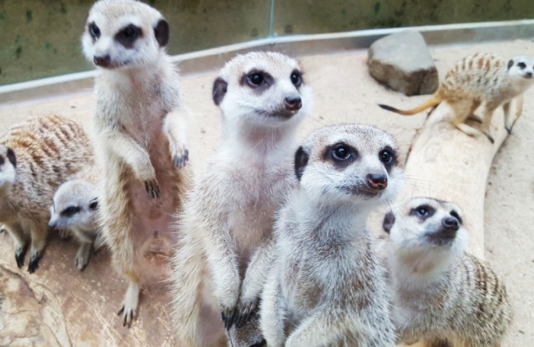 대구 네이처파크