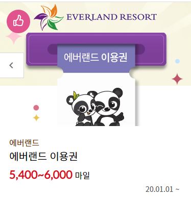 에버랜드이용권