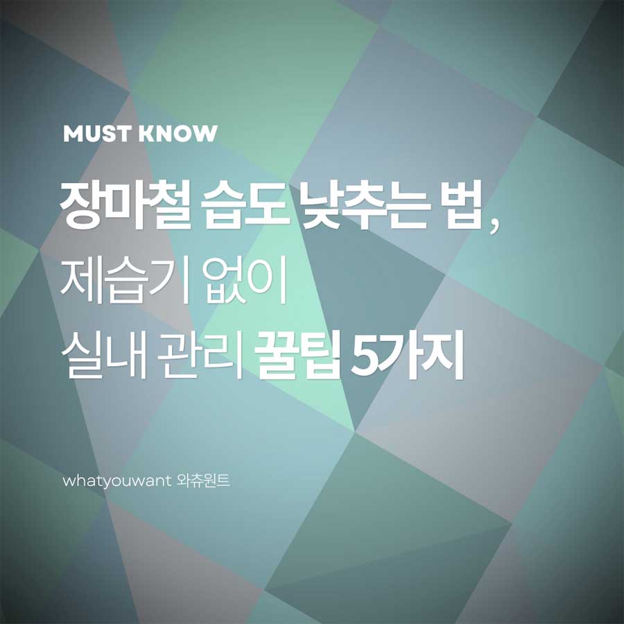 장마철 습도 낮추는 법 ❘ 집안 곰팡이·냄새 잡는 실내 관리 꿀팁 5가지