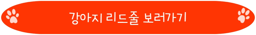 강아지 리드줄 보러가기