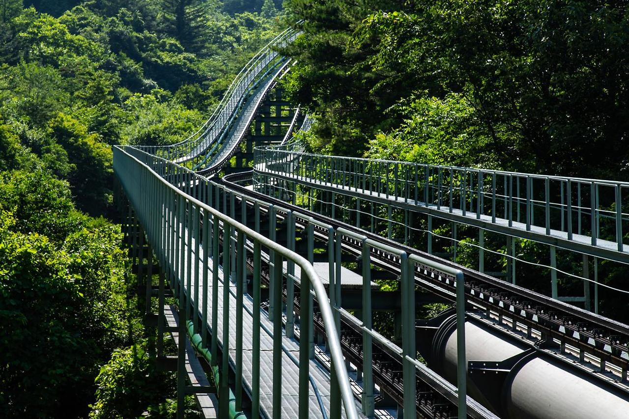 화담숲 모노레일 예약하러 가기