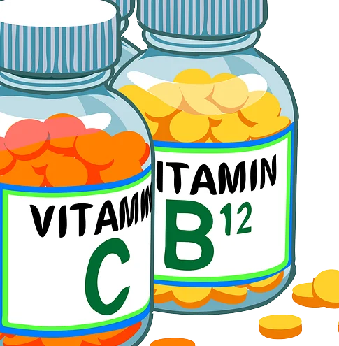 반려동물 자격증 창업 취업