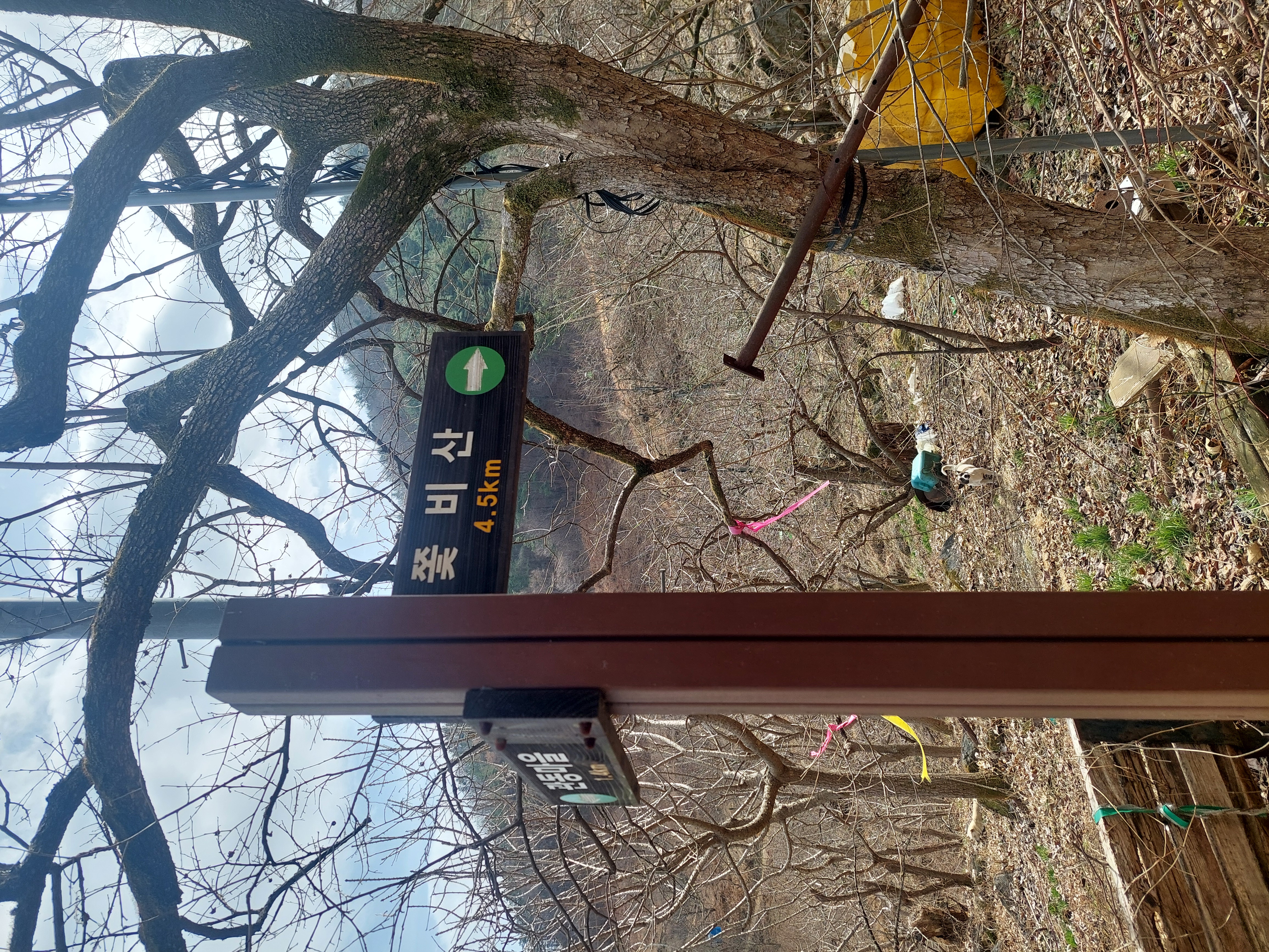 쫓비산