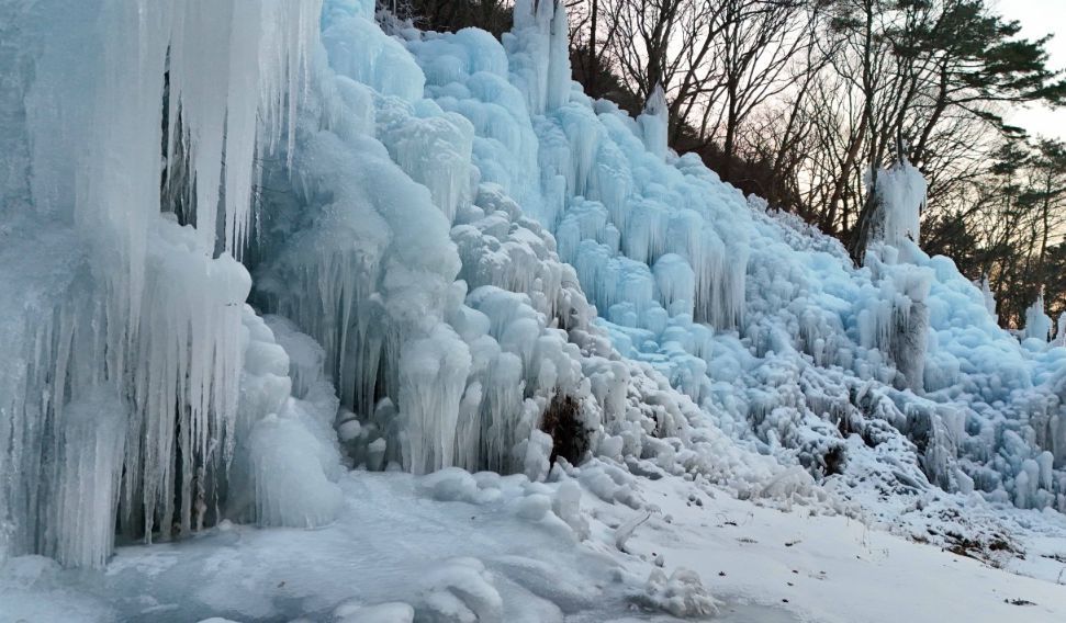비슬산자연휴양림