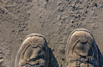 🌬️ 황사와 미세먼지, 같은 걸까?