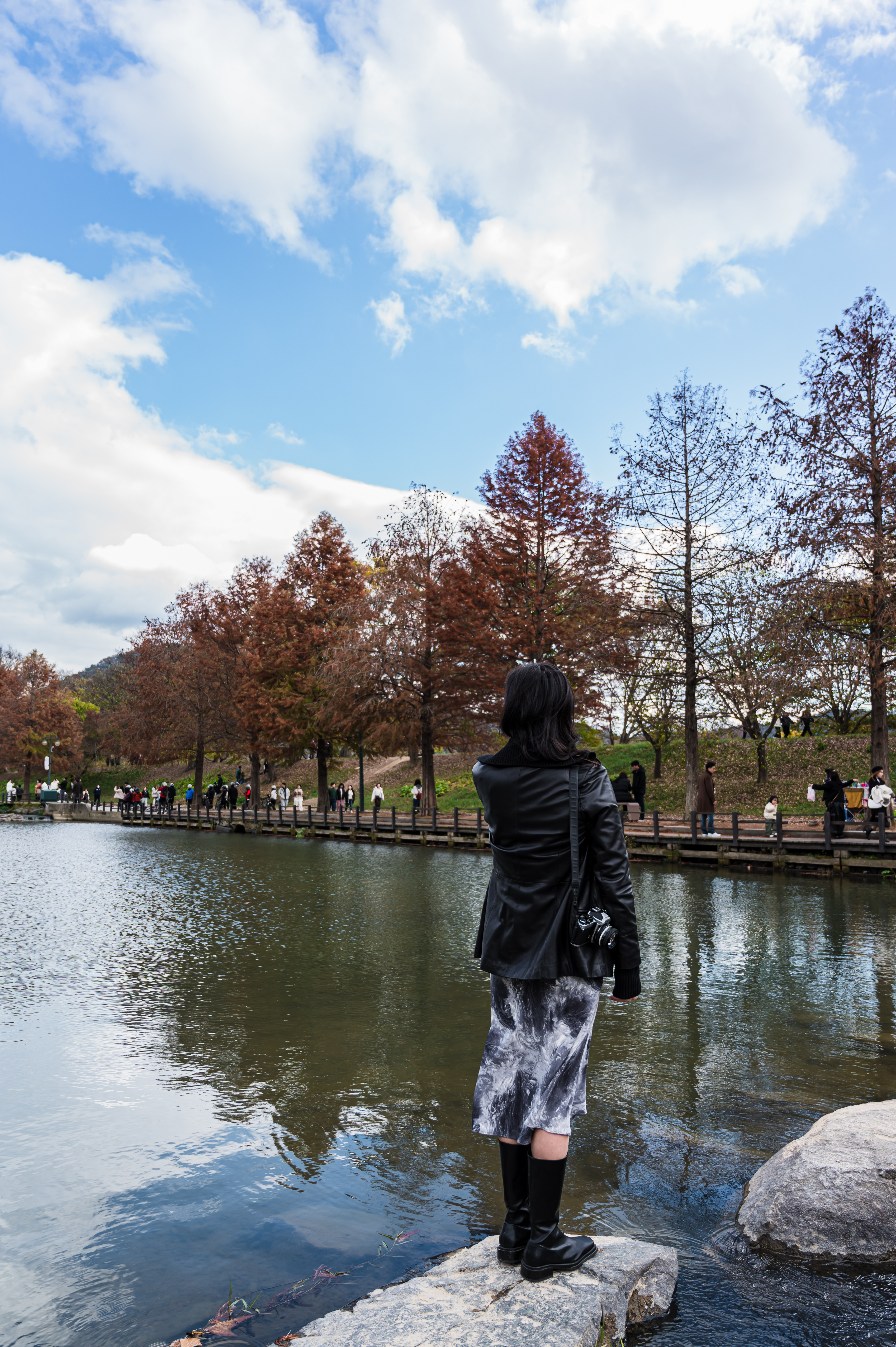 ๋ด์ ๊ด๋ฐฉ์ ๋ฆผ