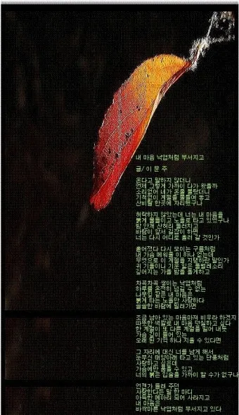 낙엽처럼 살아온 내 모습이 악보 완벽 연주 가이드_20