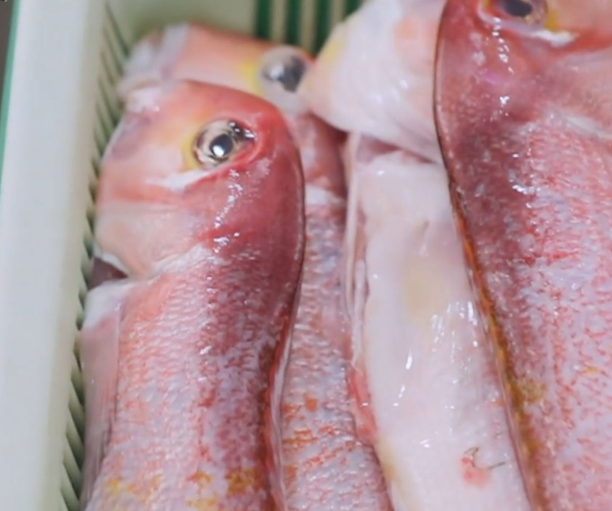 옥돔_맛집_삼보식당_04