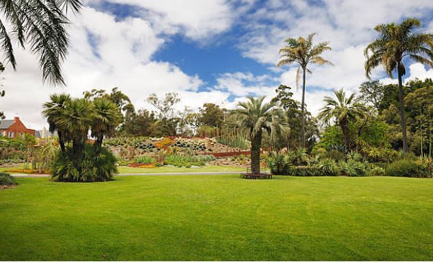 멜버른 왕립 식물원