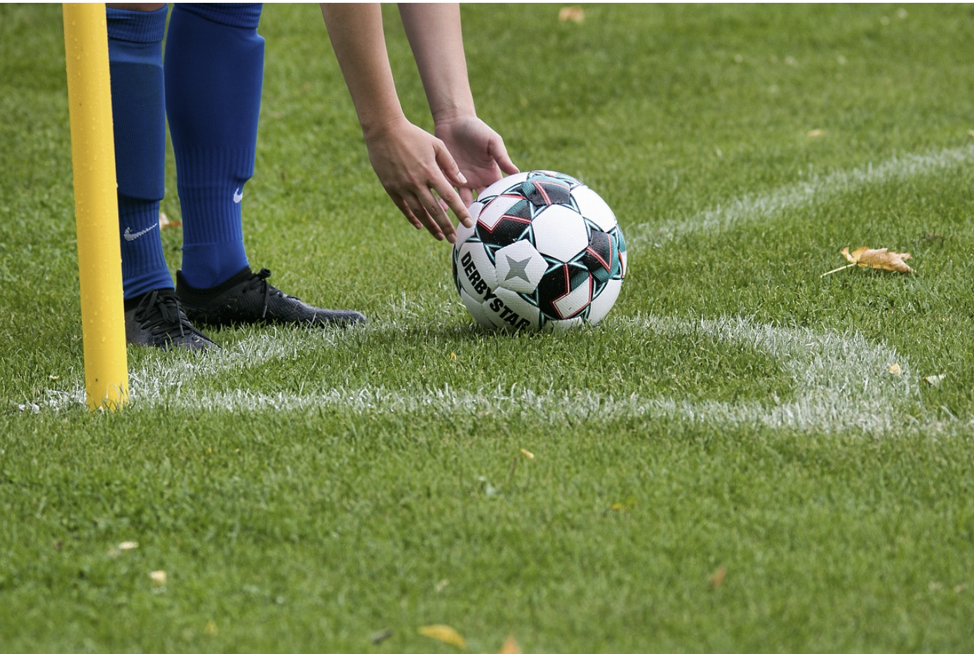 월드컵 아시아 3차예선 팔레스타인전