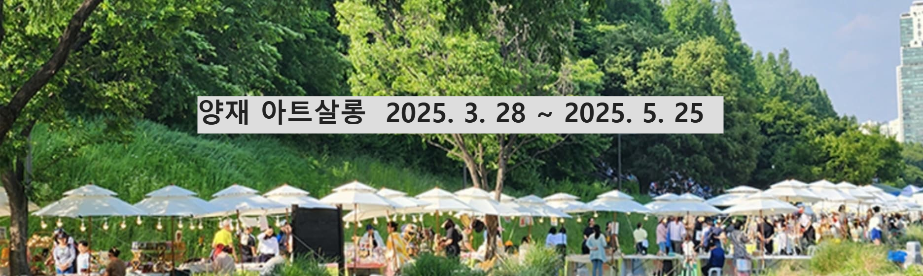 양재천 벚꽃축제 2025｜아트살롱 아틀리에 &amp; 벚꽃등축제, 방문 후기, 현재 벚꽃 개화 현황