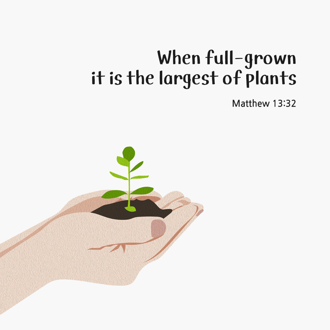 When full-grown it is the largest of plants. (Matthew 13:32) by pieonane Daily Bible quote image