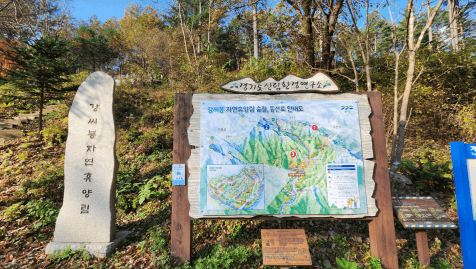 [명품숲길 50선 가을단풍 산행 ②] 소리향기길 &amp; 명언읽고가길 : 가평 강씨봉자연휴양림의 가을 산책길