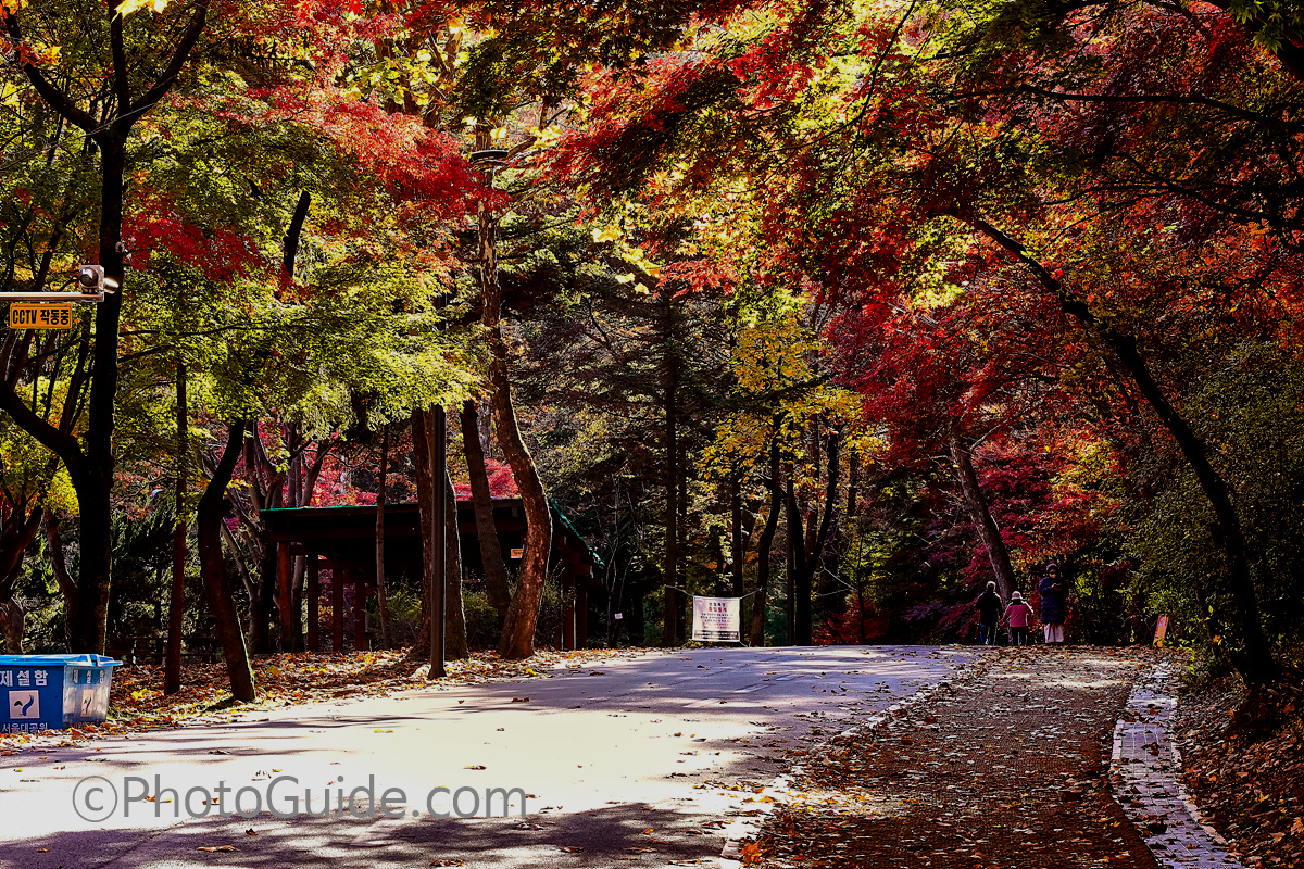 포토가이드 photoguide.com 가을 둘레길