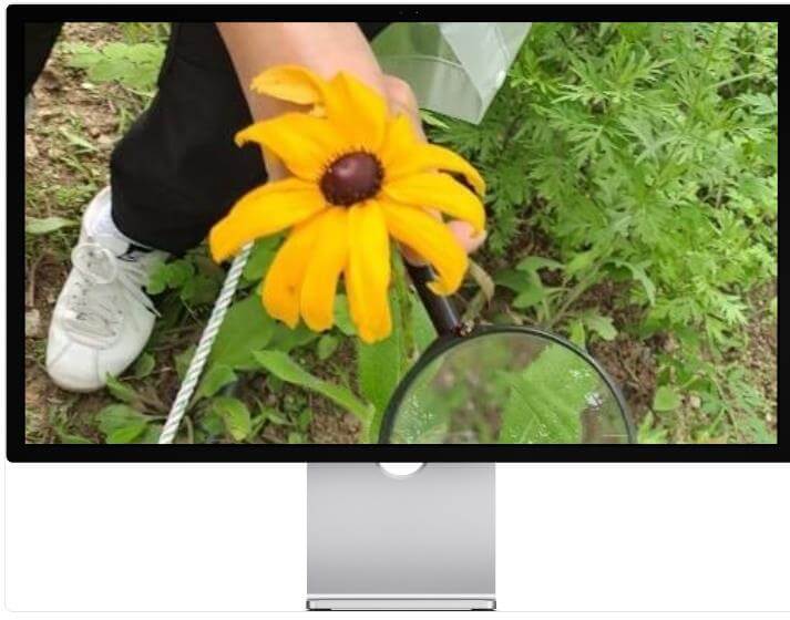 생생정보마당 대표님이 미쳤어요 숲에 미친 대표 숲체험