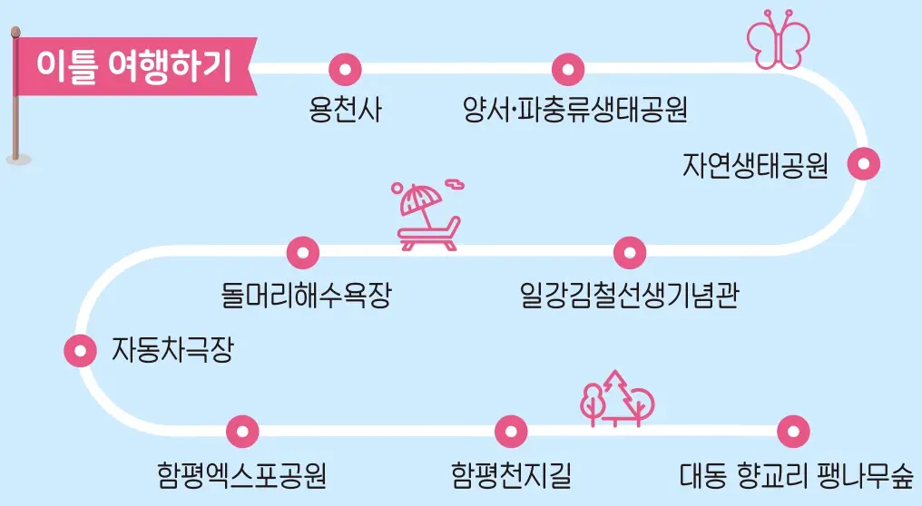 함평나비축제 기간, 주차장, 행사내용