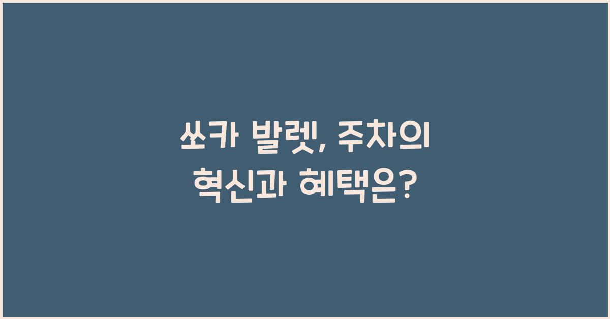 쏘카 발렛