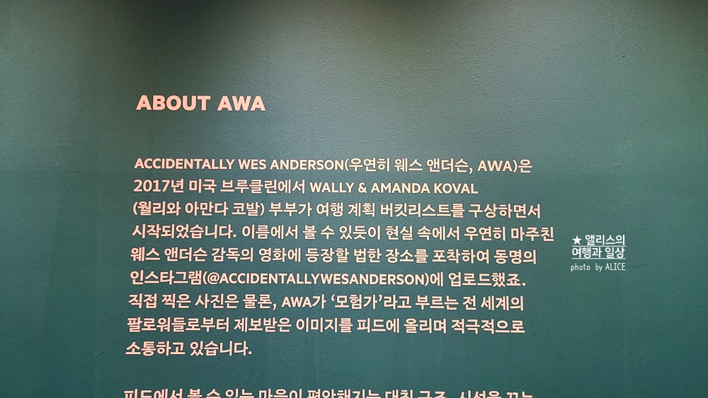 우연히 웨스 앤더슨 전시 추천, 그라운드 시소 성수