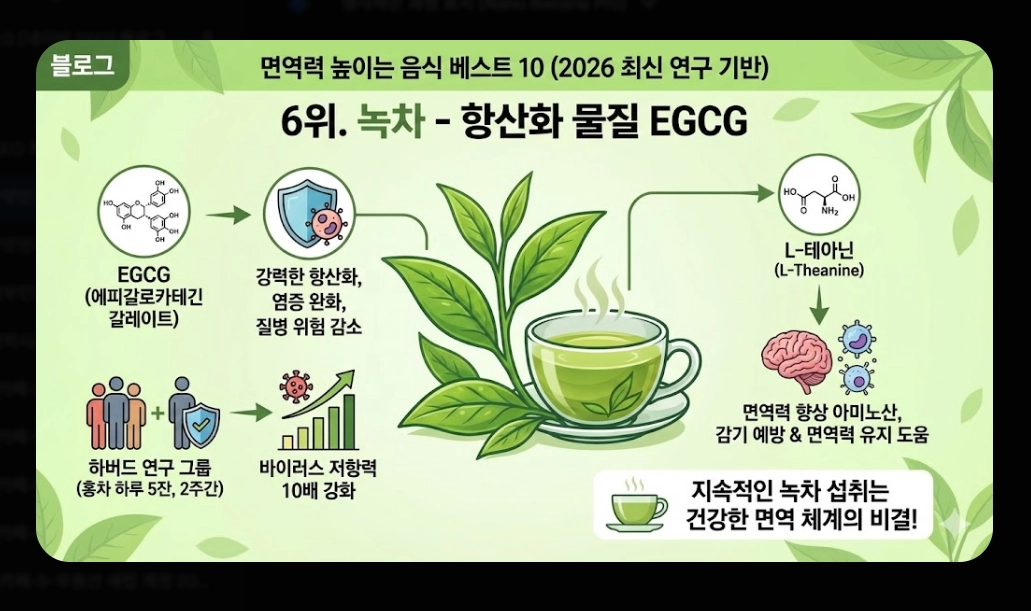 면역력 높이는 음식 베스트 10 [2026년판] 강화 식품 섭취법 및 생활 습관 총정리