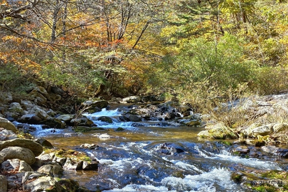 봉화 가볼만한곳 베스트10