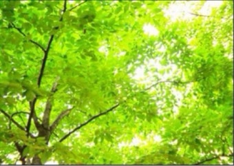 린나이보일러 온도조절기 사용법 | 유의사항