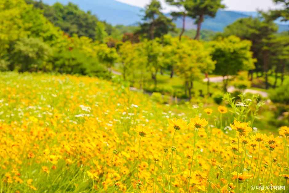 지리산 허브밸리