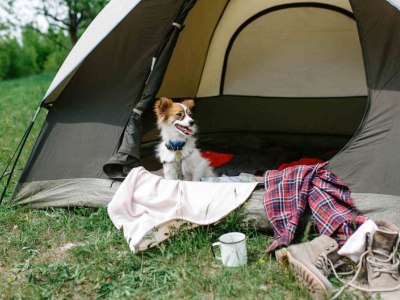 김포공항 주차대행 추천 예약 요금 장기주차