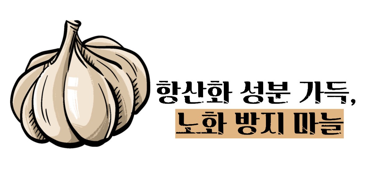 마늘 효능