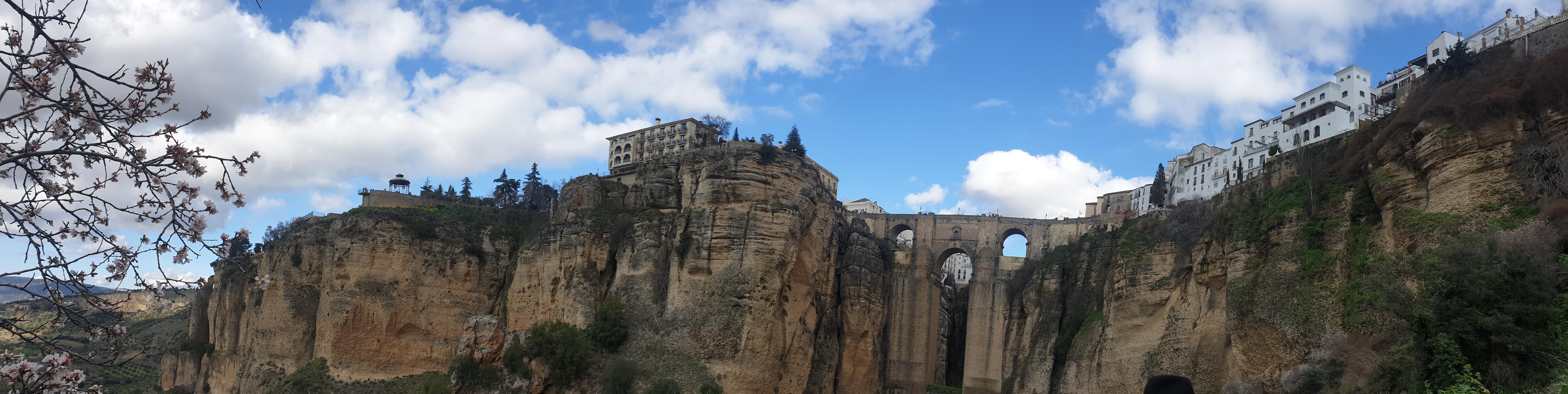 이미지-alt-태그-론다