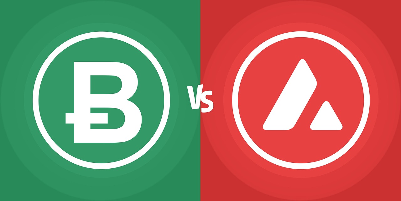 아발란체 코인 관련 사진