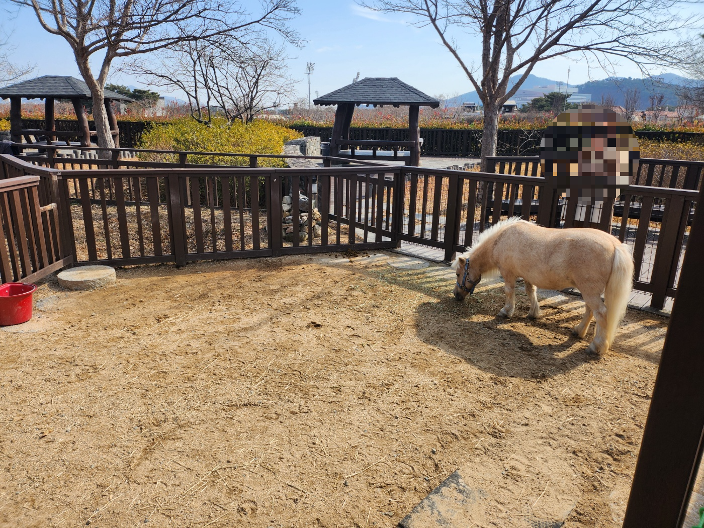 부산경남-렛츠런파크-포니-가을이