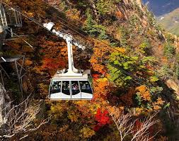 설악산 케이블카 요금안내 할인 및 운영시간