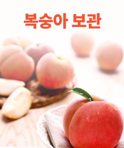 복숭아 보관법
